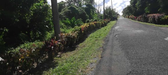 5747m² Hotel in La Plaine, Dominica No. 44 3