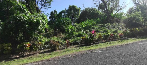 5747m² Hotel in La Plaine, Dominica No. 44 9