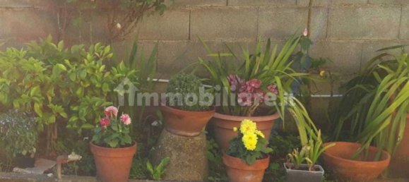 4 bedrooms House in Carrara, Italy No. 50632 13