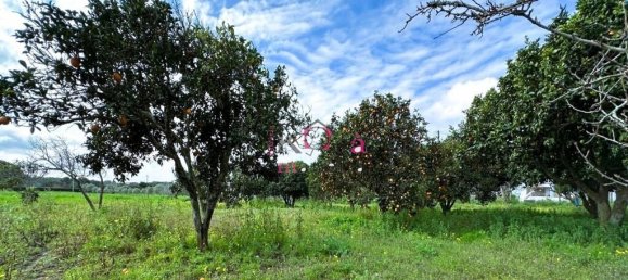 2 غرف نوم منزل في Sines, Portugal رقم 78571 16