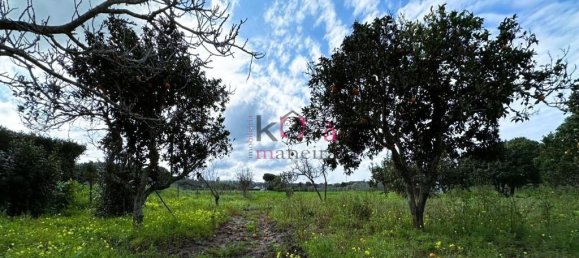 2 غرف نوم منزل في Sines, Portugal رقم 78571 15