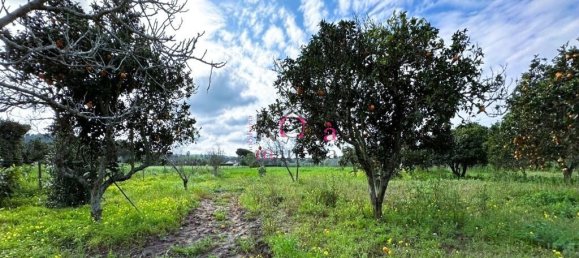 2 غرف نوم منزل في Sines, Portugal رقم 78571 13