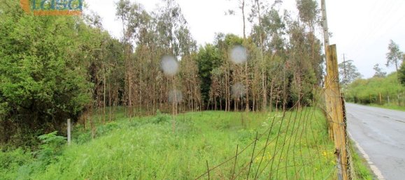 Terreno en Rio Meao, Portugal 4520 m² No. 86246 15