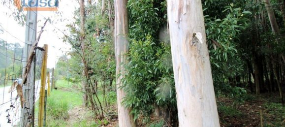 Terreno en Rio Meao, Portugal 4520 m² No. 86246 17