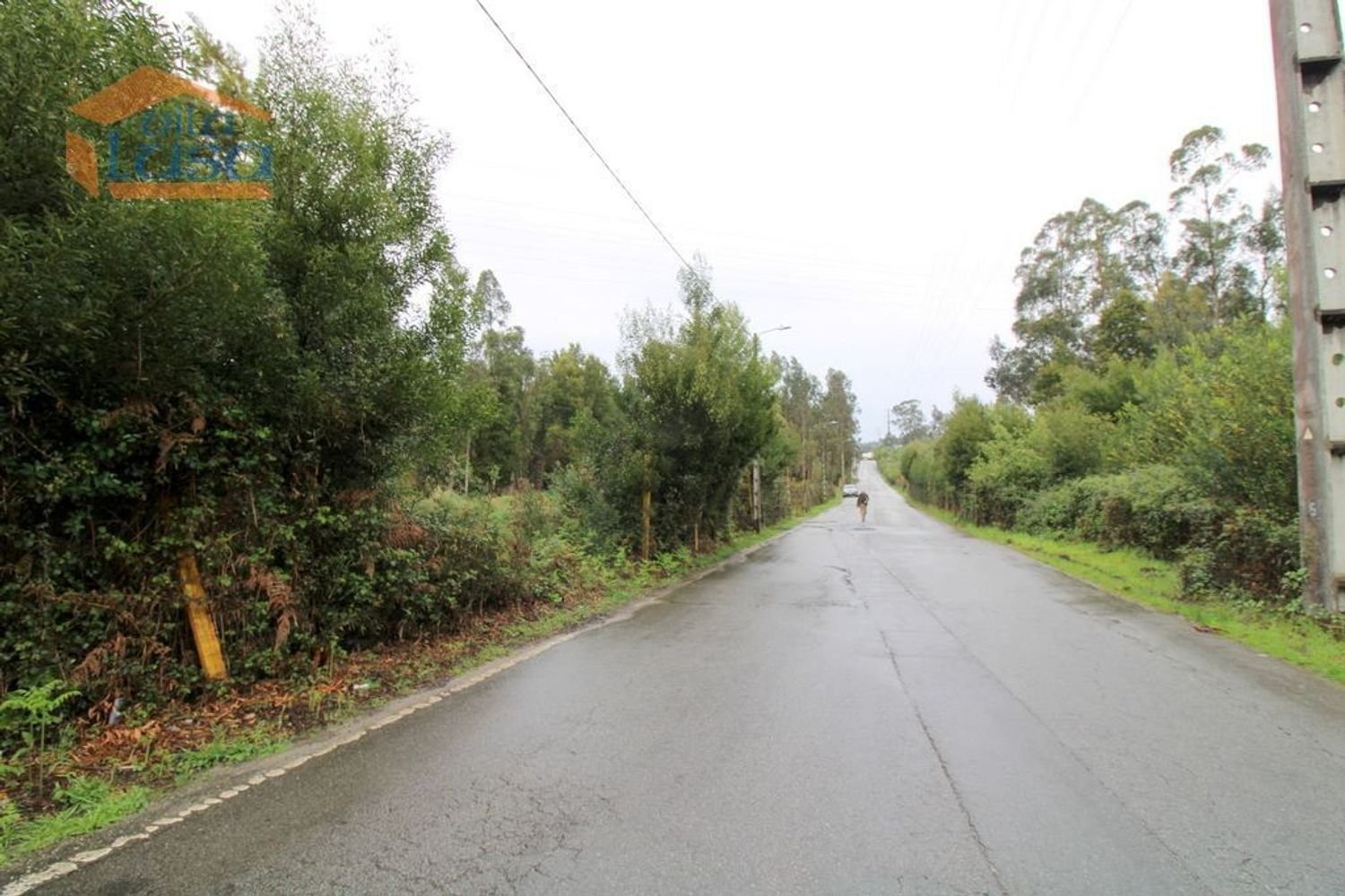 Terreno en Rio Meao, Portugal 4520 m² No. 86246