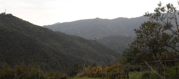 7غرفة منزل في Borzonasca, Italy رقم 254816 3