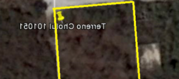 Grundstück in Merida, Mexico, Nr. 101204 2