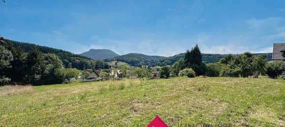 3 bedrooms House in Ranrupt, France No. 277030 13