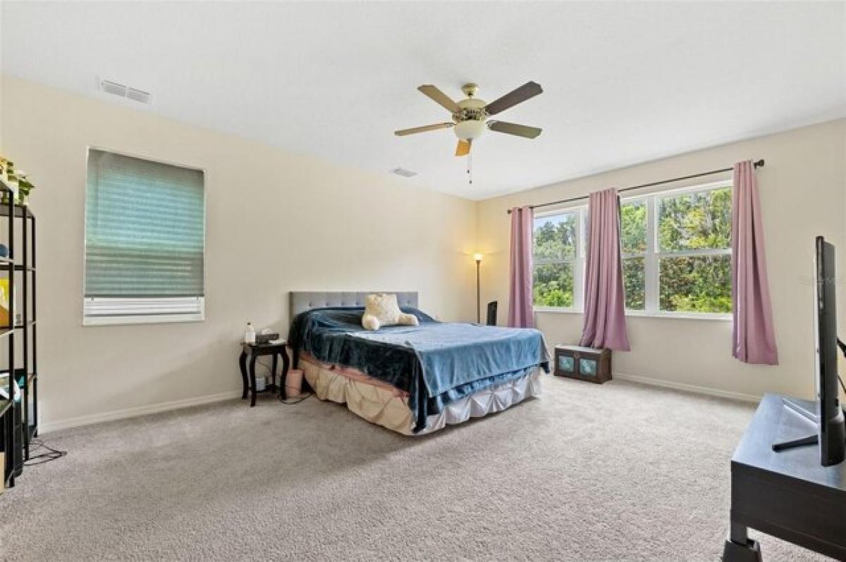 Дом с 7 спальнями в Тампа, США № 369182