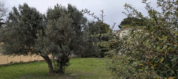 716m² Land in Les Angles, France No. 282582 2