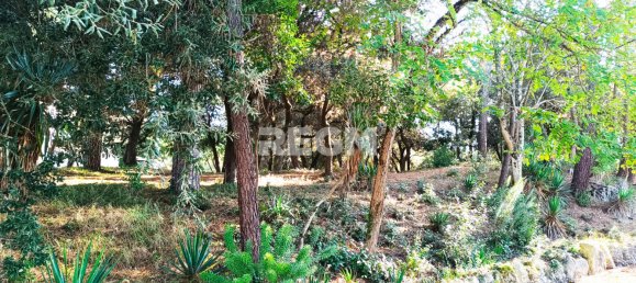 1 Schlafzimmer Wohnung in Saint-Georges-de-Didonne, France, Nr. 110522 7