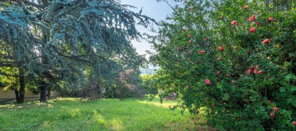 5 غرف نوم فيلا في Pietra Marazzi, Italy رقم 216225 40