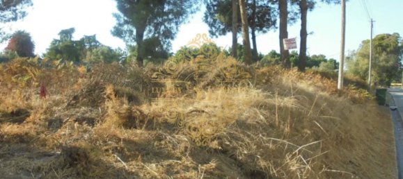 3268m² Land in Sesimbra, Portugal No. 143323 2