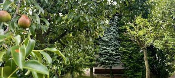 3 rooms House in Prenzlauer Berg, Germany No. 224601 2