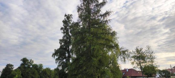 Apartamento de 2 habitaciónes en Timelkam, Austria No. 249934 3