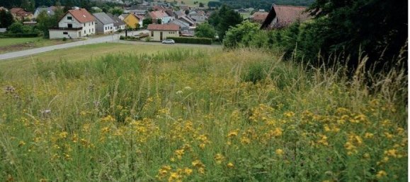 4-salle Terrain à Saarland, Germany No. 35884 3