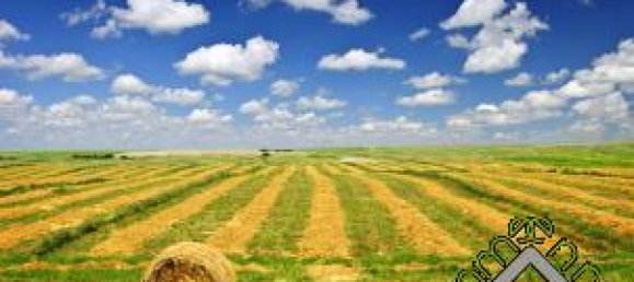 Земельный участок в Комаккьо, Италия № 23610 2