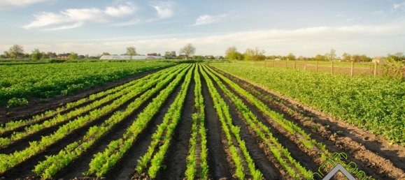 Земельный участок в Комаккьо, Италия № 23610 4