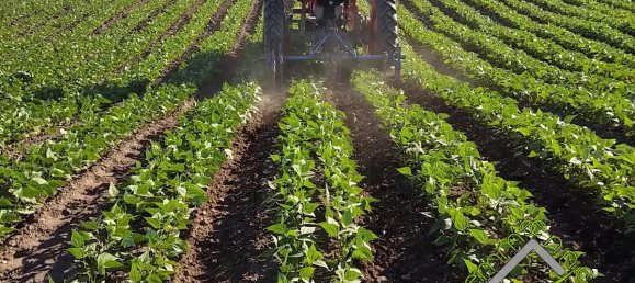 Земельный участок в Комаккьо, Италия № 23610 5