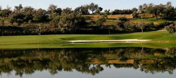  Land in Silves, Portugal No. 126871 6