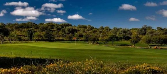  Land in Silves, Portugal No. 126871 7