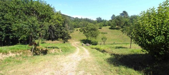 Дом с 9 комнатами в Трезана, Италия № 20169 6