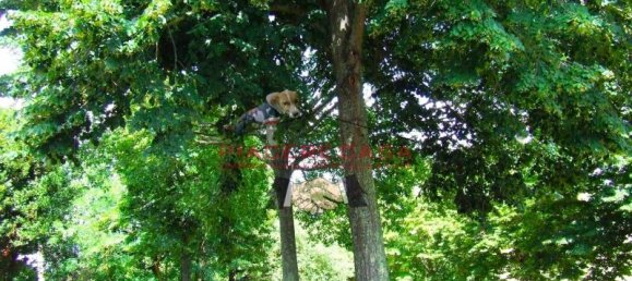 Casa de 12 divisões em Orvieto, Italy N.º 125313 11