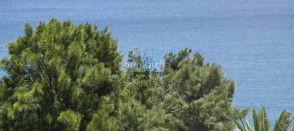 5900m² Land in Cadiz, Spain No. 66522 4