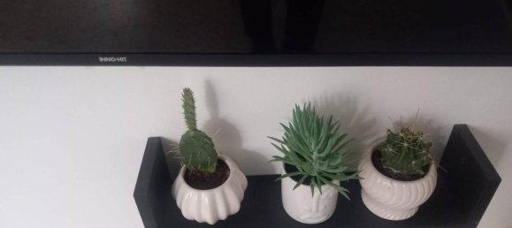 2 rooms Apartment in Catanzaro, Italy No. 25495 17