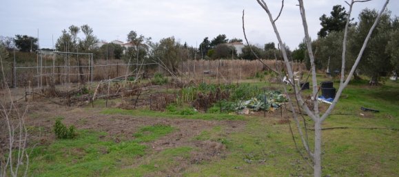 Grundstück in Polygyros, Greece 1000m², Nr. 95007 2