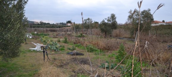 Grundstück in Polygyros, Greece 1000m², Nr. 95007 5