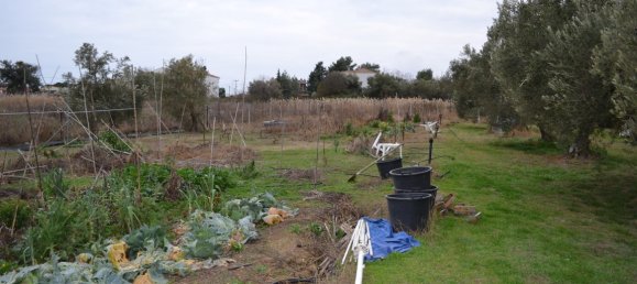 Grundstück in Polygyros, Greece 1000m², Nr. 95007 4