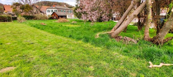  قطعة أرض في Kirchbach-Zerlach, Austria 1202متر مربع رقم 147306 3