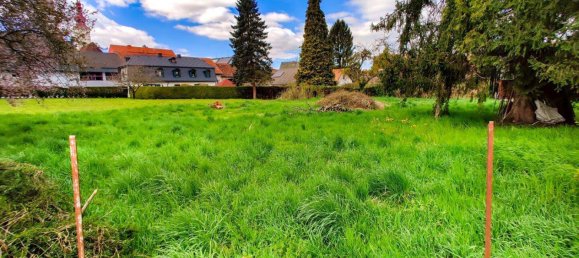  قطعة أرض في Kirchbach-Zerlach, Austria 1202متر مربع رقم 147306 2