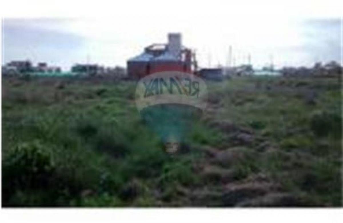  Land in Campo Creado, Argentina No. 118946