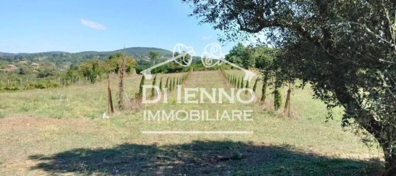 3 bedrooms Villa in Oriolo Romano, Italy No. 341630 12