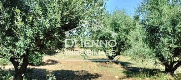 3 bedrooms Villa in Oriolo Romano, Italy No. 341630 13