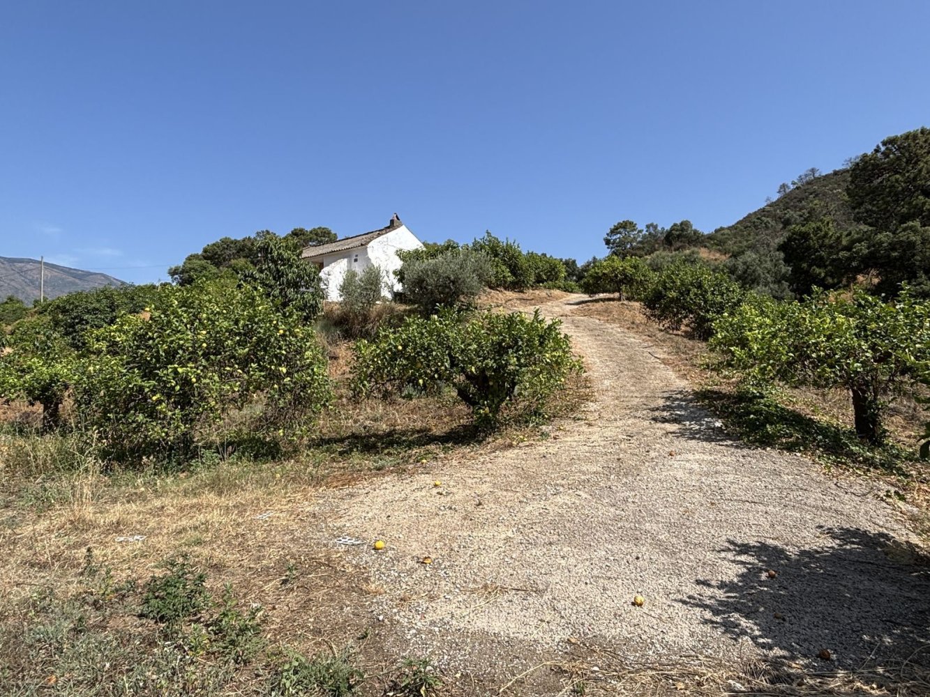 Grundstück in Estepona, Spain 13391m², Nr. 147716