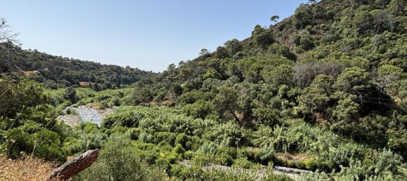 Grundstück in Estepona, Spain 13391m², Nr. 147716 10