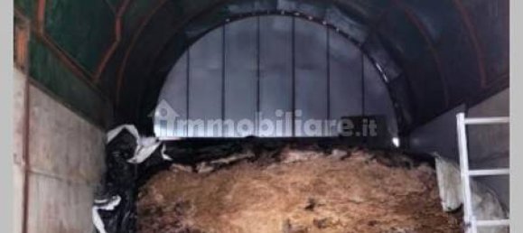 Вилла с 5 спальнями в Ветралла, Италия № 317511 24