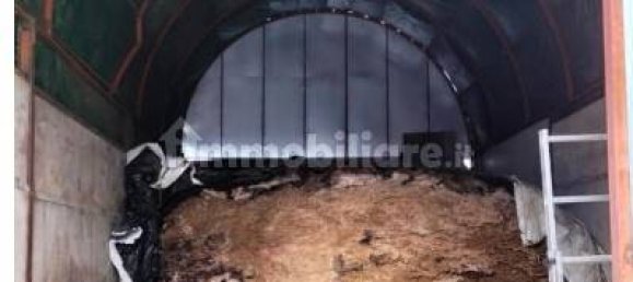 Вилла с 5 спальнями в Ветралла, Италия № 317511 11