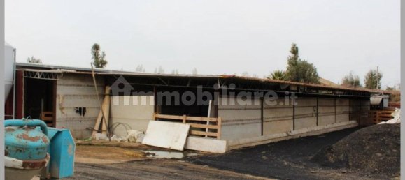 Вилла с 5 спальнями в Ветралла, Италия № 317511 30