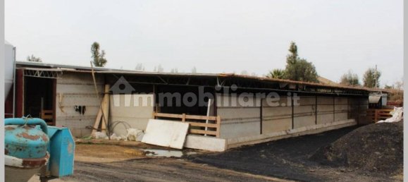 Вилла с 5 спальнями в Ветралла, Италия № 317511 17