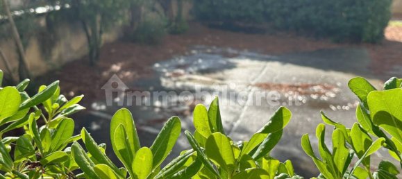 2 chambres Appartement à Rosignano Marittimo, Italy No. 352820 24