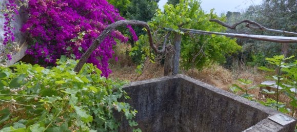 4 bedrooms House in Castelo Branco, Portugal No. 192178 7