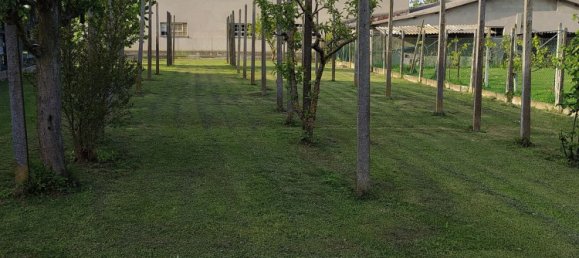 6غرفة منزل في Gaiba, Italy رقم 107586 17