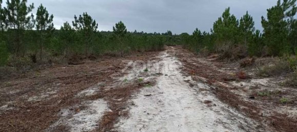  Land in Grandola, Portugal No. 44295 2