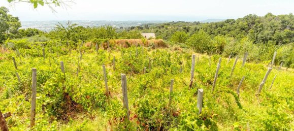 Casa de 4 dormitorios en Milo, Italy No. 331560 16