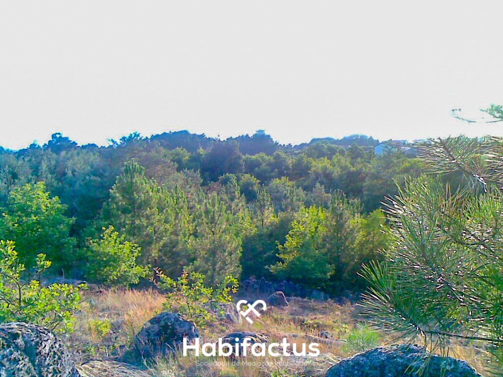 Terrain à Mundao, Portugal No. 49749