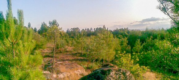 Terrain à Mundao, Portugal No. 49749 3
